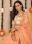 Preview: Indisches Lehenga Choli "Kamaljot"