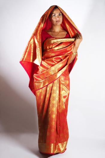 Indischer Sari "Hemkanta"