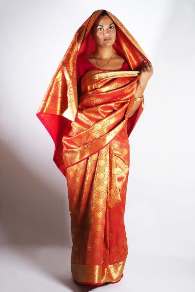 Indischer Sari "Hemkanta"